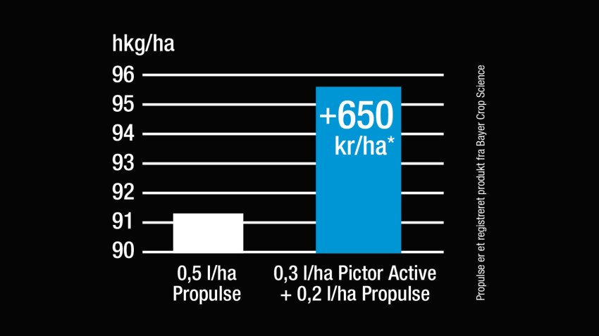 *090862424 - Svampebekæmpelse i vinterhvede - forskellige løsninger​  ved delt aksbehandling, led 9 versus led 8, hvedepris 160 kr/hkg
